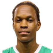 里纳尔多-科姆兰