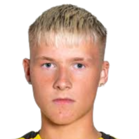 阿尔曼·费恩博加松