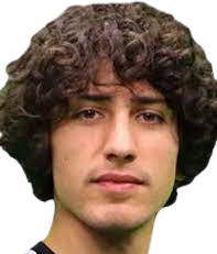 梅赫梅特·齐纳尔