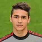 法比奥·坎克里