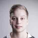 亚历克西拉帕莱宁