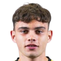 纳乌尔·赫雷拉