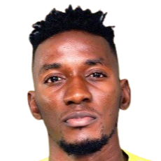 阿辛比西布韦​​