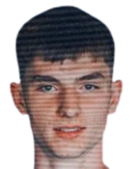 康斯坦丁内斯库