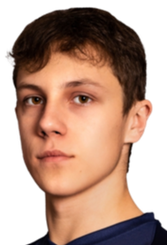 杰梅利亚诺夫斯