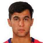 侯赛因纳利扎德