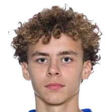 伊布拉希莫维奇