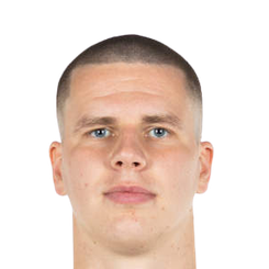 拉夫里诺维修斯