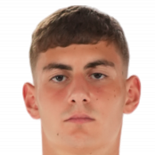 A.雅科比什维利