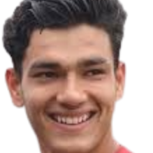 普拉维尔·辛格