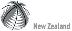 新西兰国家联赛
