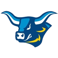 阿尔弗雷德州立