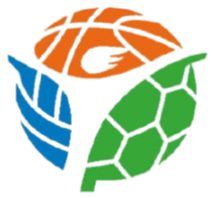 全国青少年三大球运动会女足项目