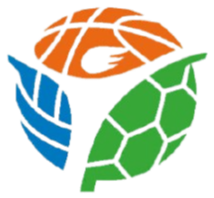 三大球运动会男足